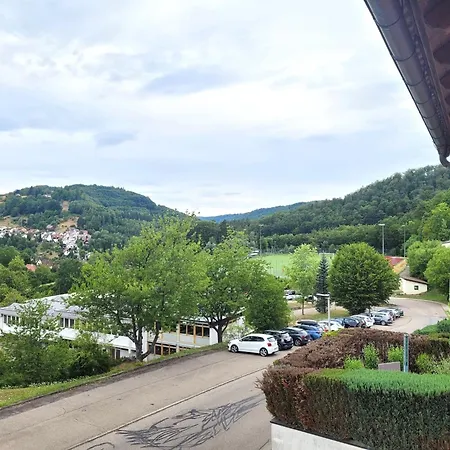 4 Geraeumige Und Ruhig Gelegene Ferien- Und Monteurwohnung Nur Fuer Sie Allein Aujvari Vermietungen Apartment *